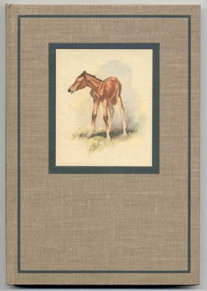Image for Red Pony, The