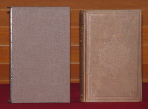Image for Snow Image and other Twice Told Tales, The