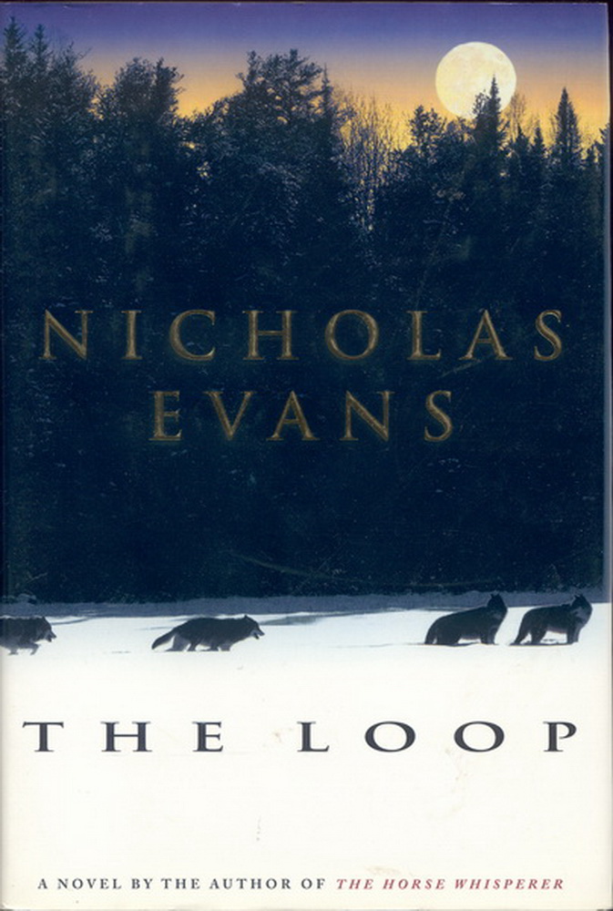 Image for Loop, The